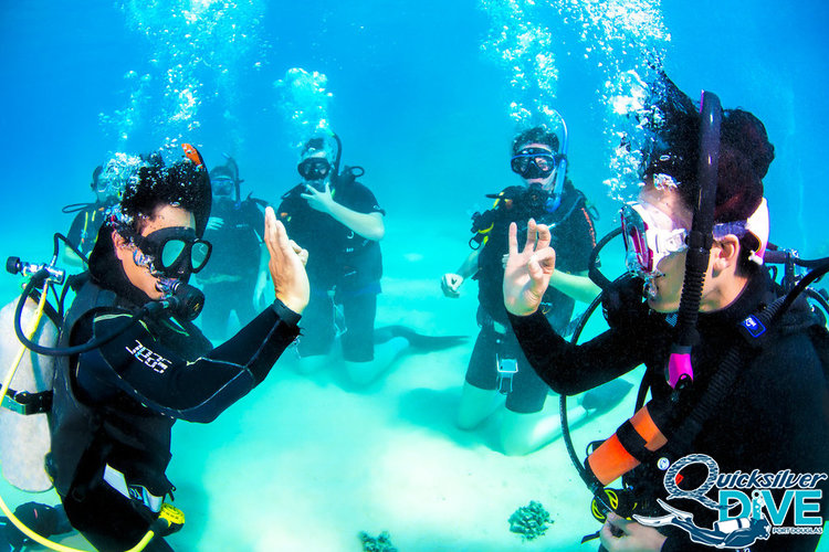 Rescue Diver Certification Quicksilver Dive Great Barrier Reef