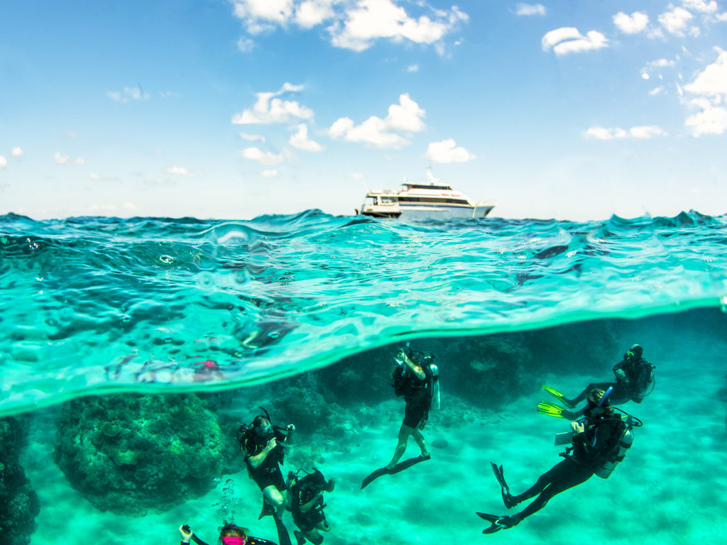 Online Dive Medical Great Barrier Reef, Port Douglas, Australia