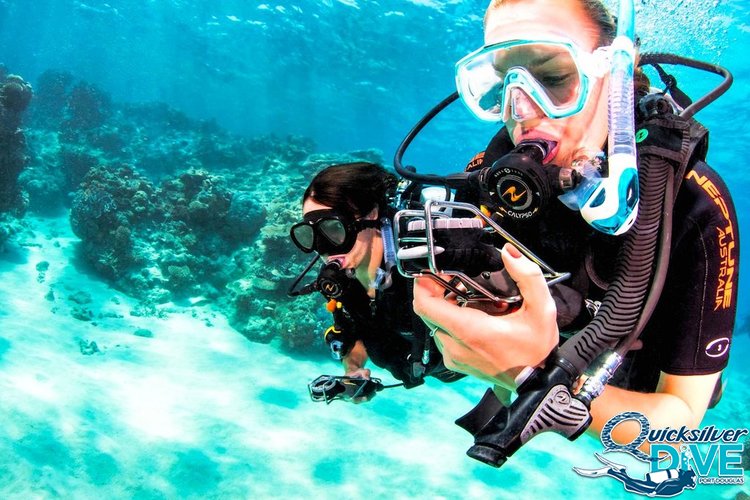 Quicksilver Dive