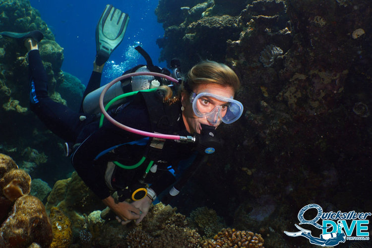 Cairns Dive