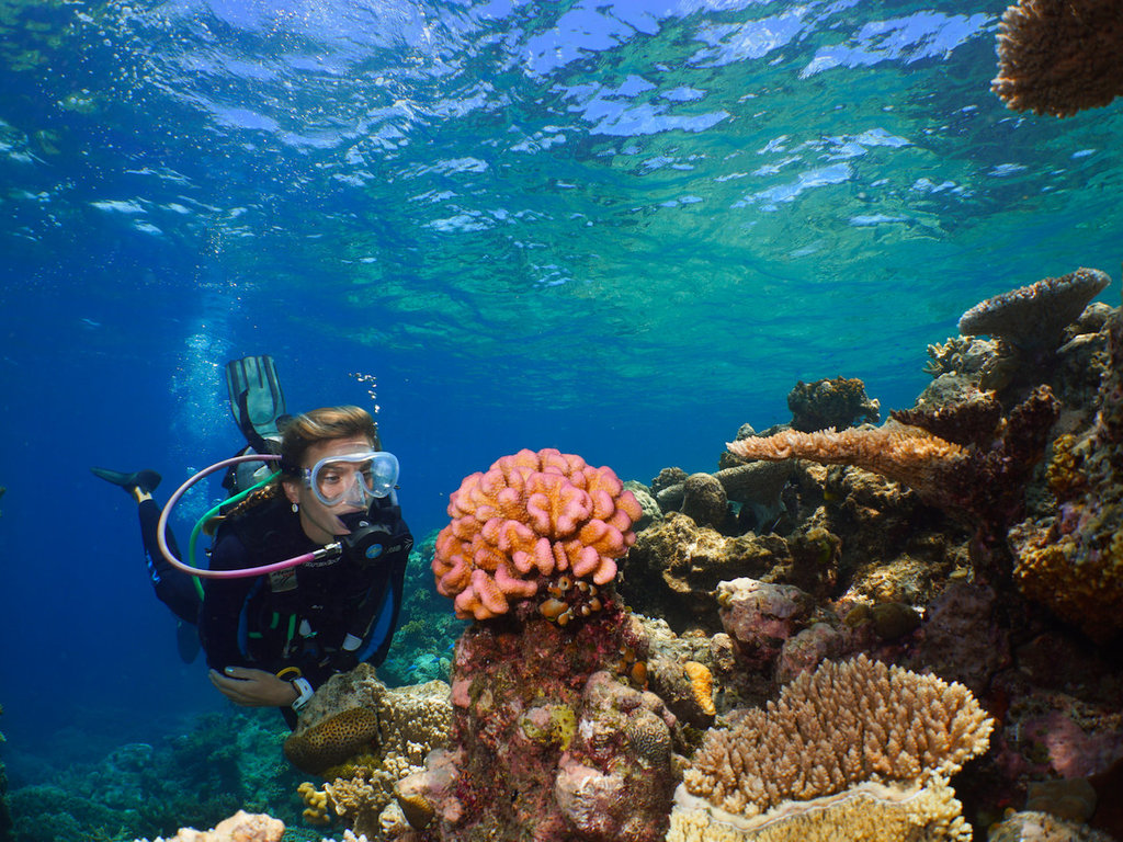 3 Day Learn To Dive with eLearning 