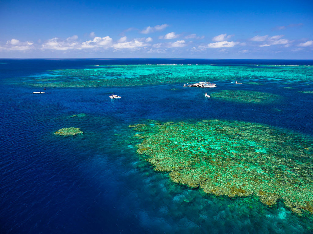 Learn To Dive in Port Douglas, with Quicksilver Dive PADI Advanced
