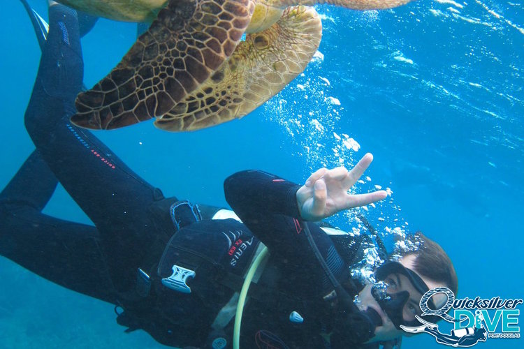 Quicksilver Dive