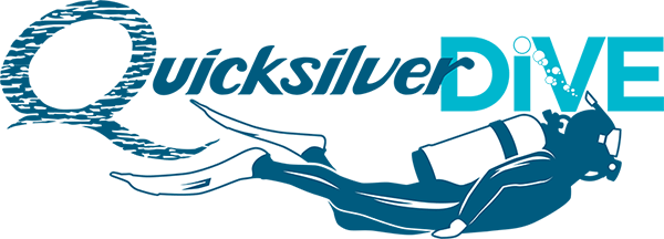 Quicksilver Dive Centre - Port Douglas Australia